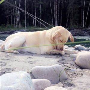 Meet your Posher, Abbygale